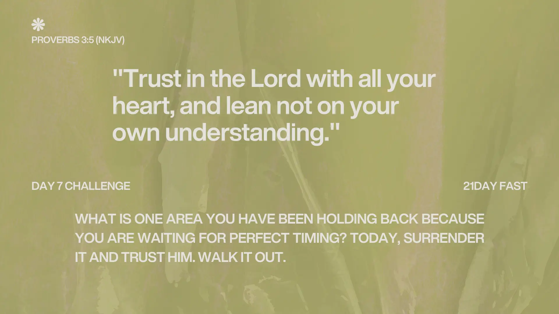 Copy of Green Gold Brutalist Textured Christmas Bible Quote Instagram Post